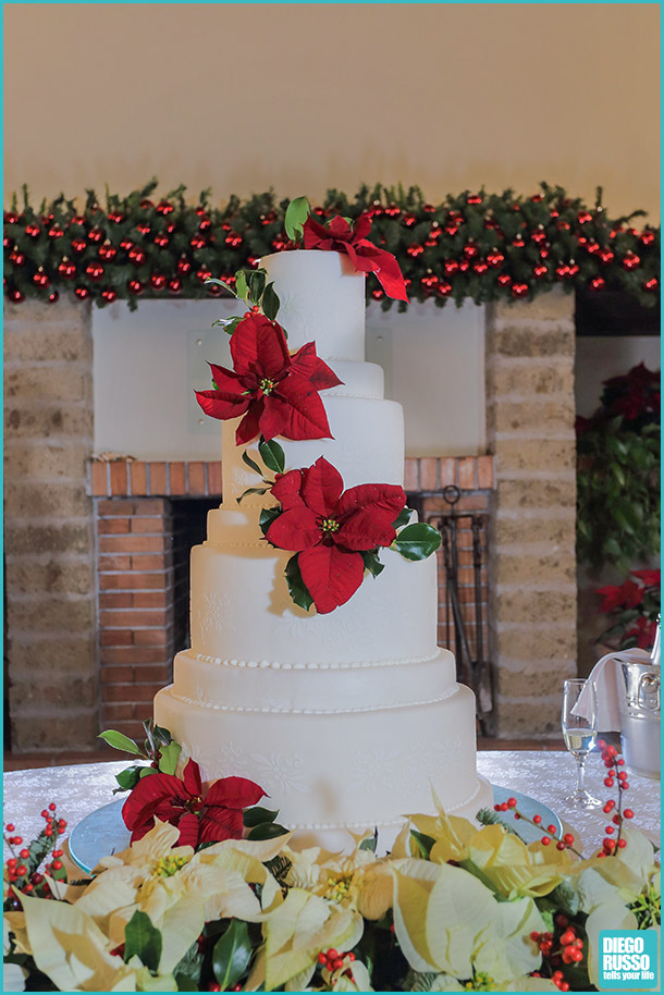 foto wedding cake natalizia - foto torta nuziale natalizia - foto torta nuziale tema Natale